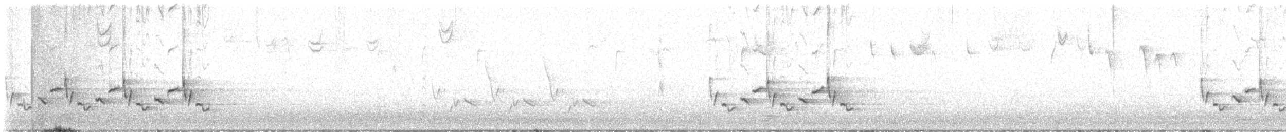 Каролинский крапивник - ML612374300