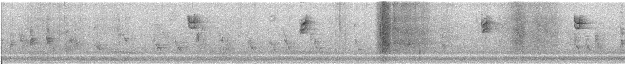 White-crowned Sparrow - ML612375112