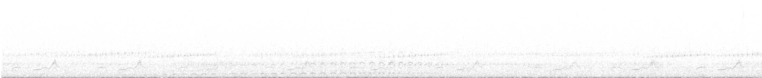 Schwarzkehl-Nachtschwalbe - ML612375519