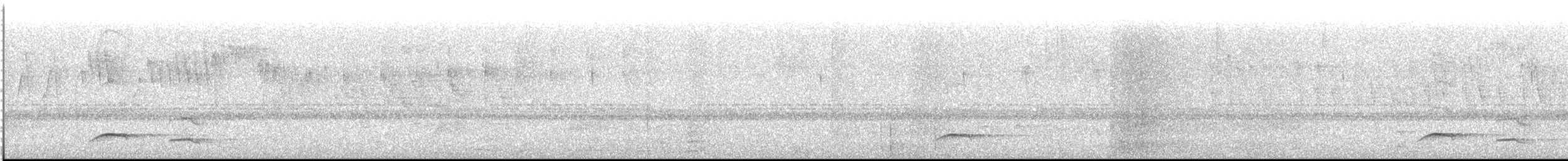 Тиран-плоскодзьоб малий - ML612376272