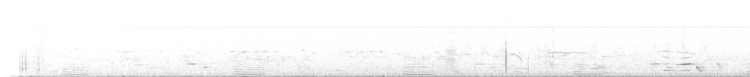 slípka novozélandská - ML612378764