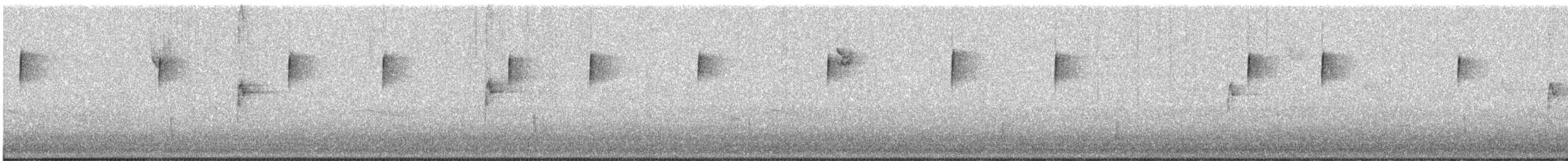 Дрізд-короткодзьоб плямистоволий - ML612379997