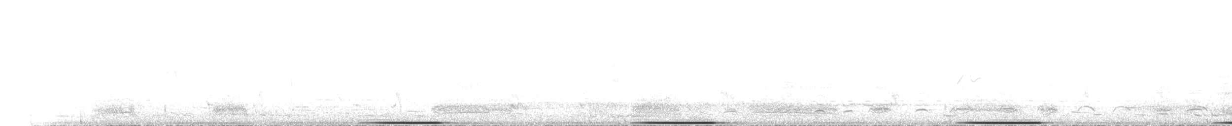 holub bronzovokřídlý - ML612380259