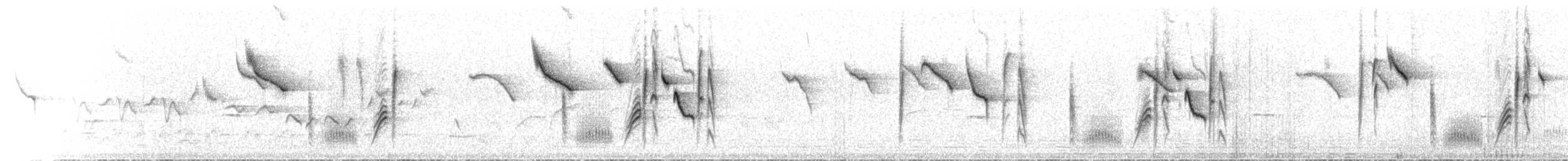 Braunbürzel-Dornschnabel - ML612380284