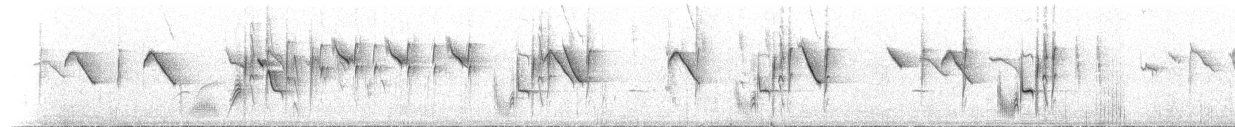 Braunbürzel-Dornschnabel - ML612380285