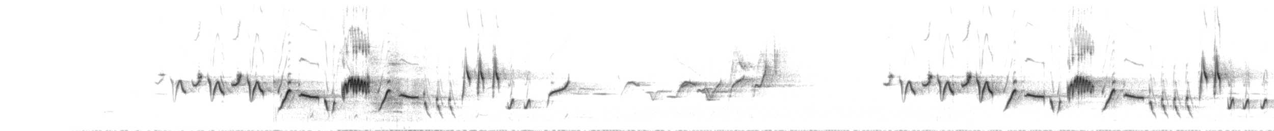 Séricorne timide - ML612380291