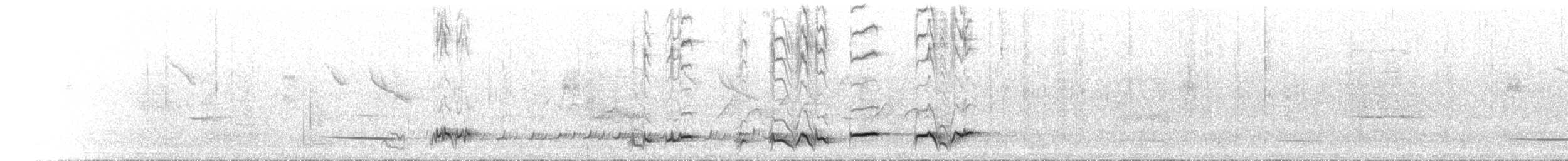 Méliphage lancéolé - ML612380371