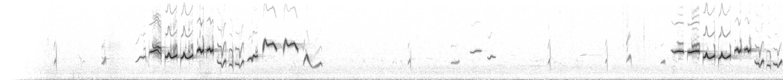 Séricorne timide - ML612380408