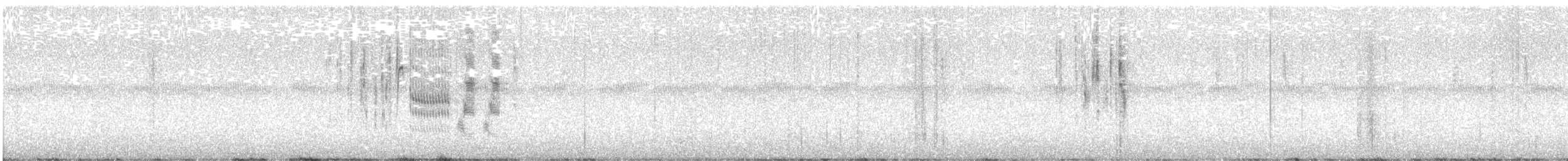 Troglodyte de Latham - ML612380880