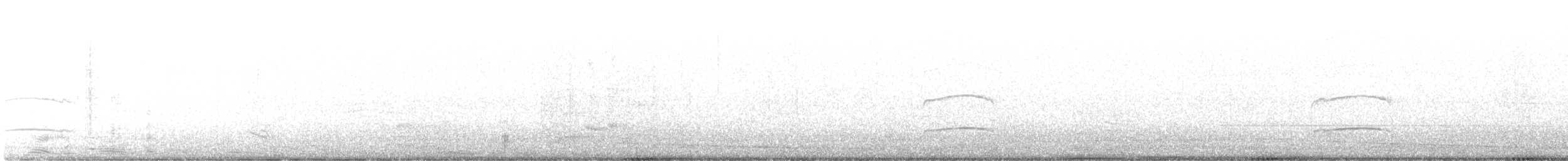 Копетон темноголовий - ML612382673
