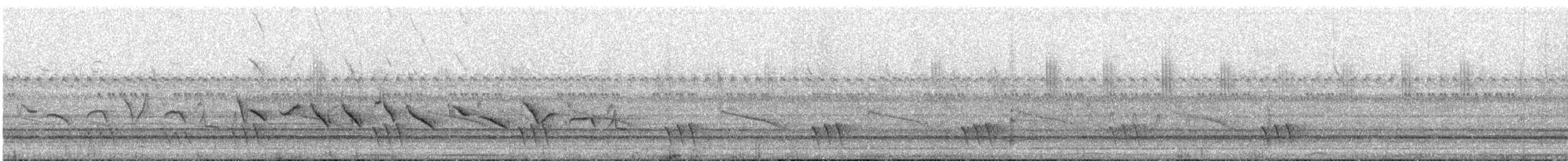 Kestane Karınlı Koca Tohumcul - ML612383098