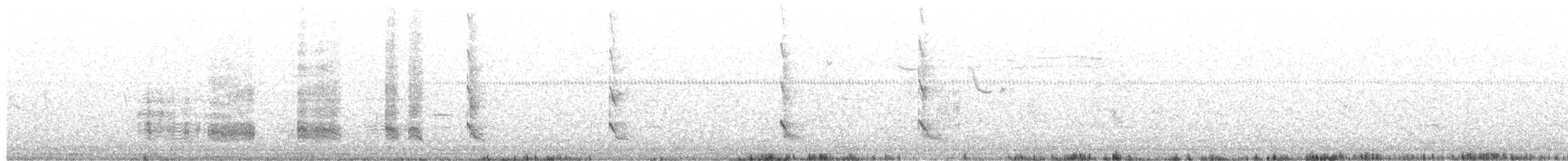 Чапля мангрова (підвид striata) - ML612383923