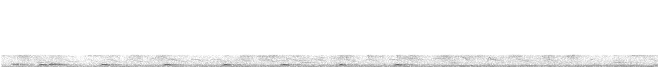 holub fidžijský - ML612387454