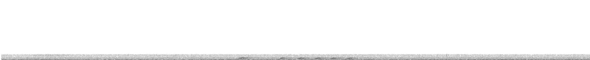 Пінон фіджійський - ML612390060