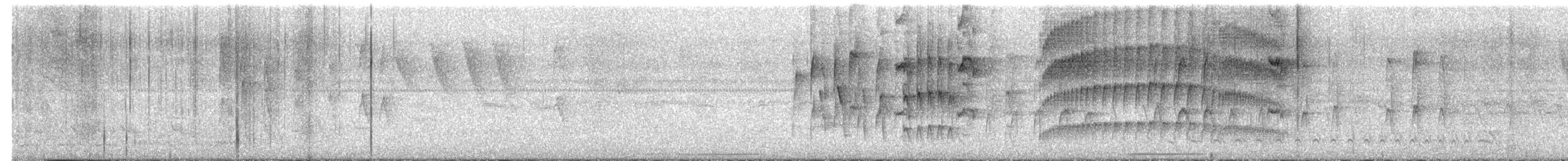 Pale-eyed Pygmy-Tyrant - ML612391655