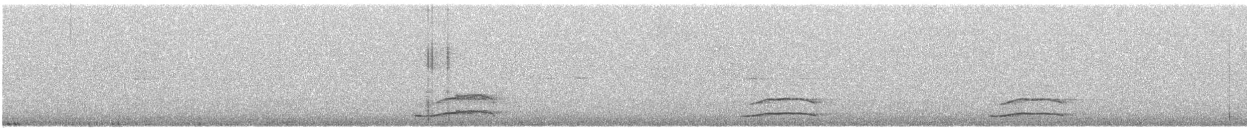 sýc americký - ML612394025