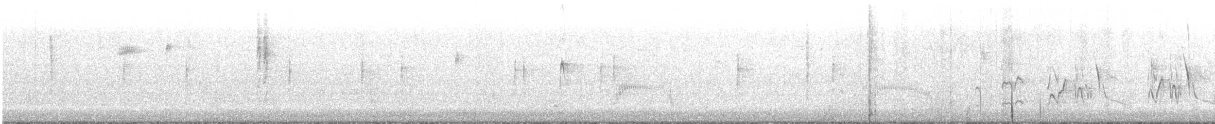 Tyran de Couch - ML612401887