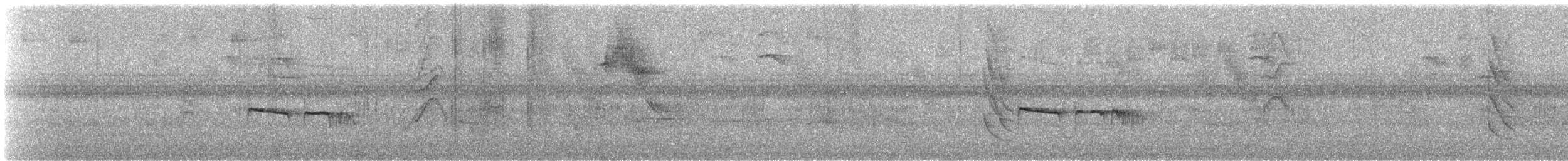 Southern Beardless-Tyrannulet - ML612402053