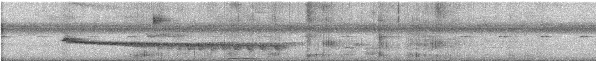 Grauband-Ameisenvogel - ML612402505