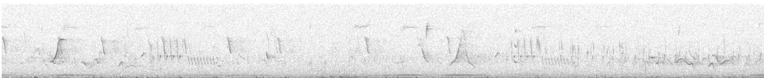 Tinamou des Andes - ML612403542
