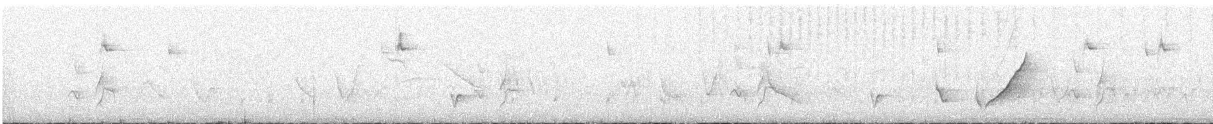 Graustirn-Dickichtschlüpfer - ML612403588
