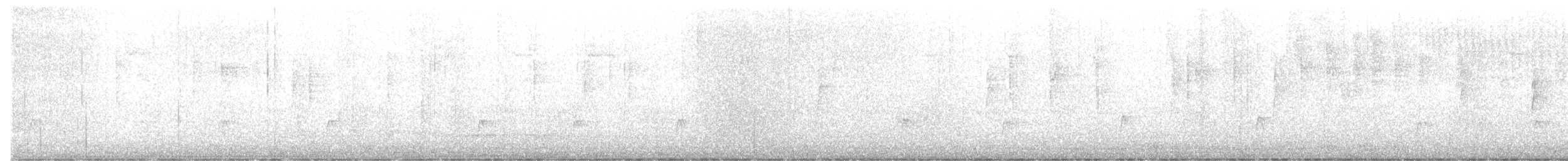 Greater Pewee - ML612405177