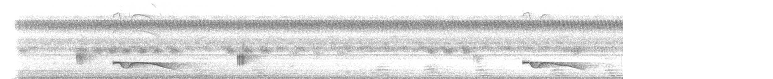 Great Eared-Nightjar - ML612406662