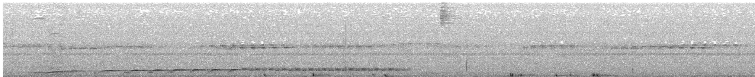 Spotted Nightjar - ML612407927