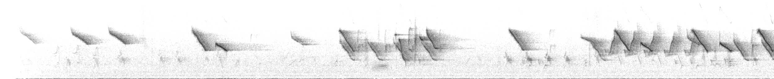 Braunbürzel-Dornschnabel - ML612409847