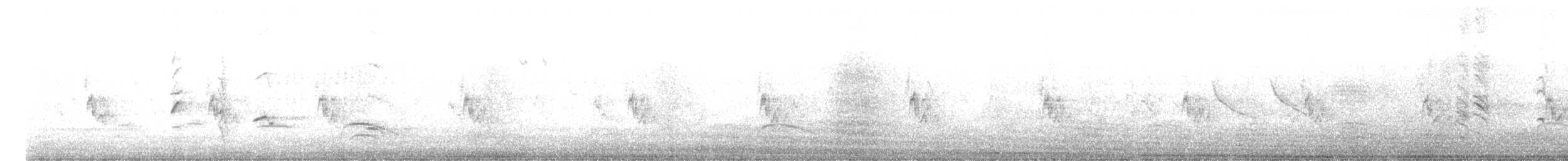 Патагонский курен - ML612410152