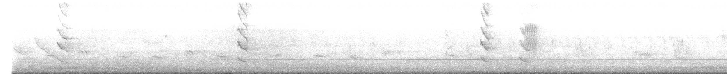 Щетинкопер великий - ML612410153
