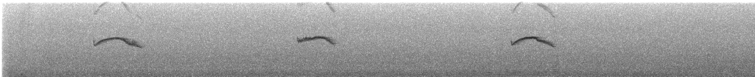 Kestane Karınlı Bülbül Tiranı - ML612411258