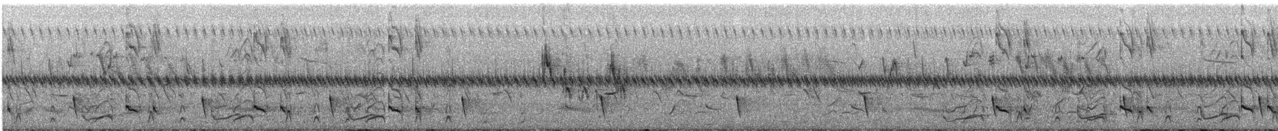 D'Arnaud's Barbet - ML612412637