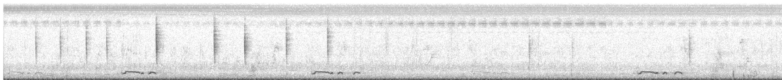 holoubek vlnkovaný - ML612412824
