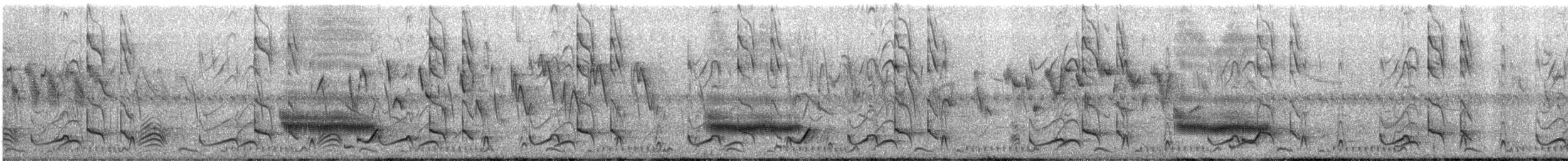 Çil Barbeti - ML612414065