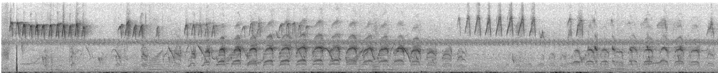 Goldschnabel-Sichelhopf - ML612414122