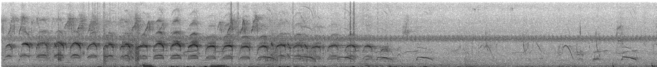 Goldschnabel-Sichelhopf - ML612414123