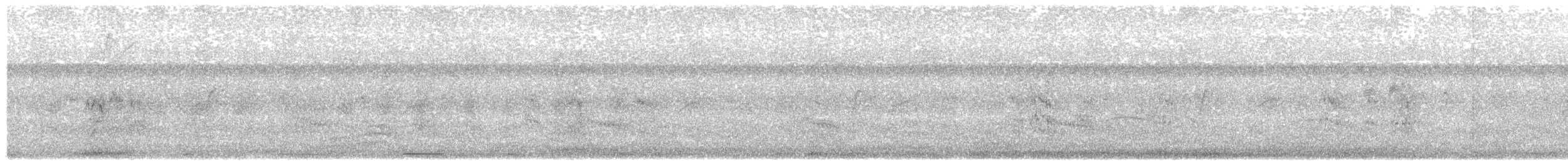אנפית מנגרובים - ML612414167