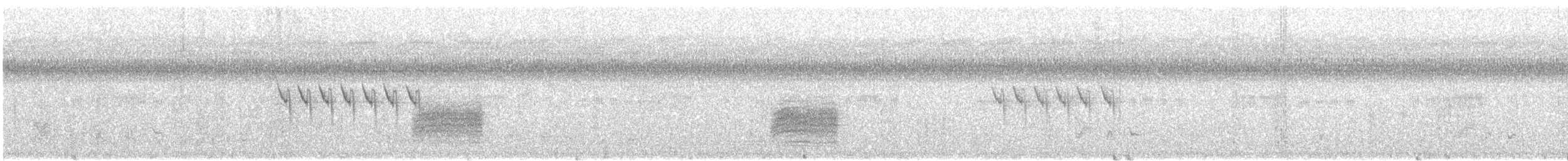 アオハウチワドリ（flaviventris グループ） - ML612415419