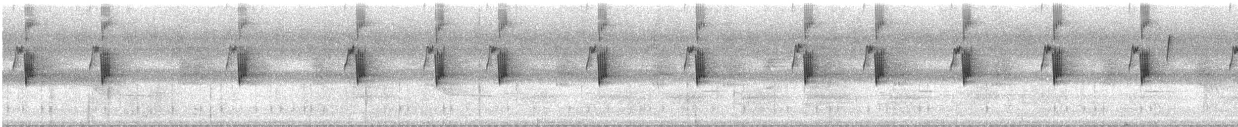 Большеклювый колибри-отшельник - ML612420037