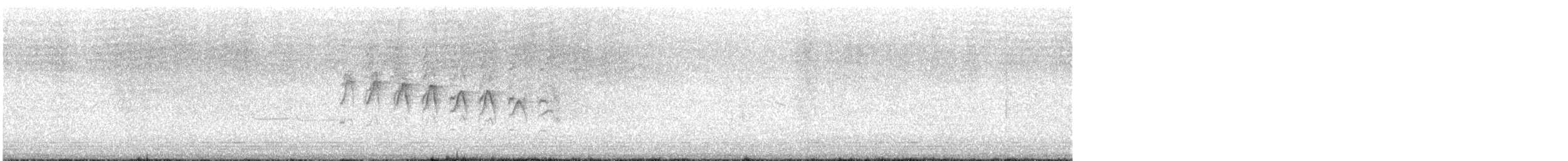 leskot yukatanský - ML612425621