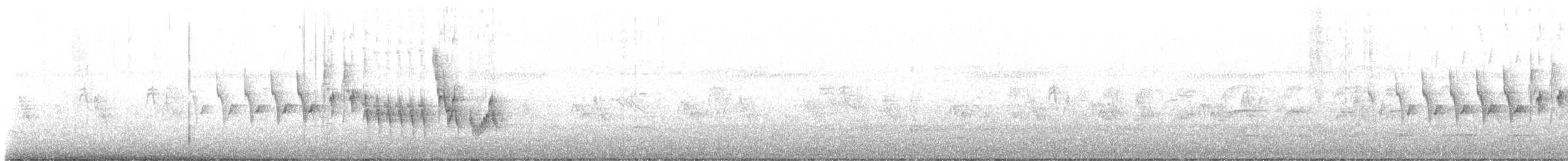 Pinzón Vulgar - ML612427931