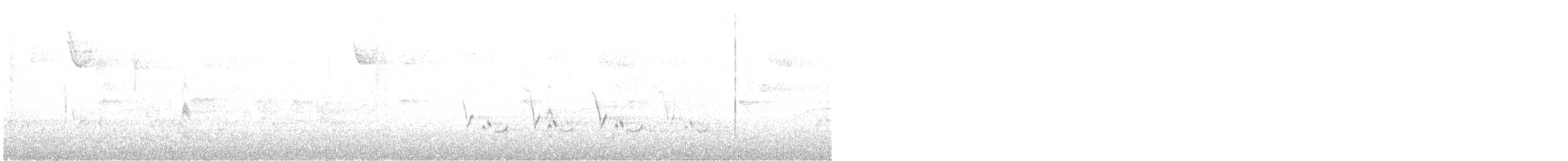 Каролинский крапивник - ML612433163