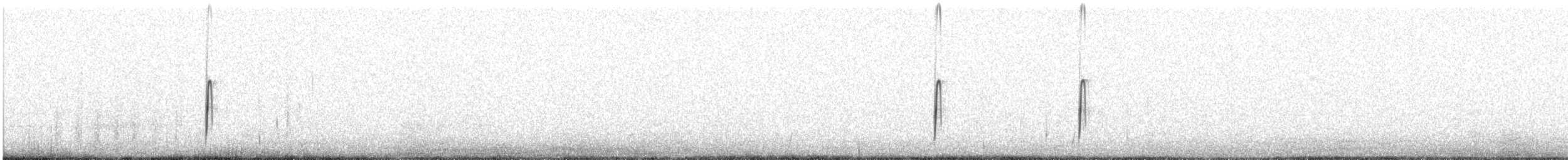 Chorlitejo Andino - ML612437169