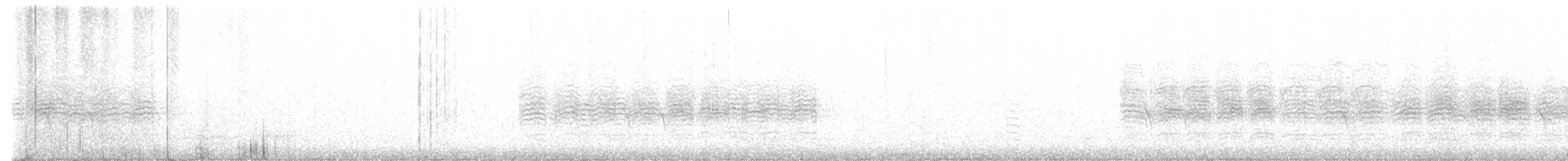 Шишкар ялиновий - ML612437380