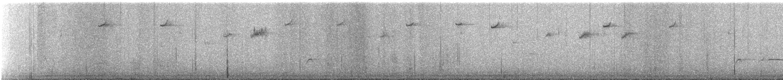 Greater Pewee - ML612440458