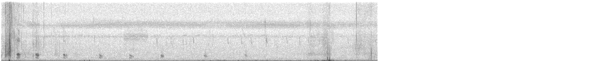 אנפית סוף הודית - ML612440571