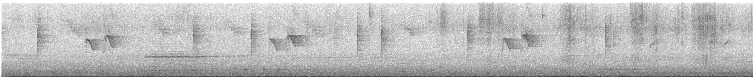 sedmihlásek tamaryškový - ML612441668