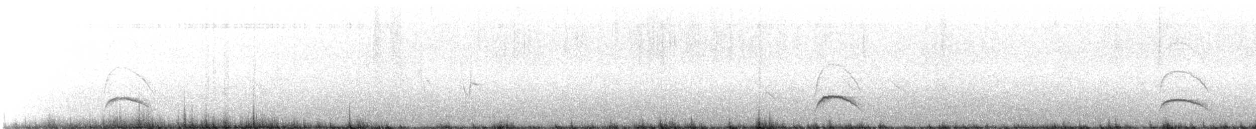 Weißkronen-Olivtyrann (Weißbauch-Olivtyrann) - ML612443050