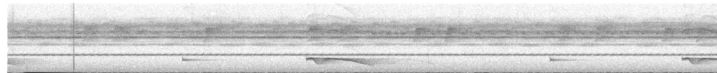 Riesennachtschwalbe - ML612444551